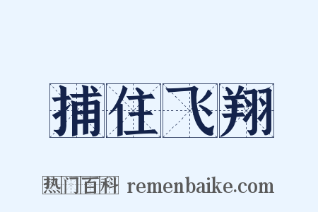 捕住飞翔是什么意思的图片